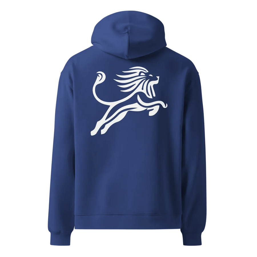 Be Bright Oversized Hoodie product image (2)