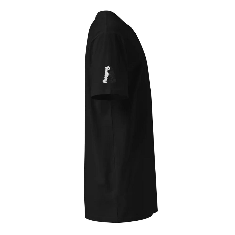 RSFA Tee product image (3)