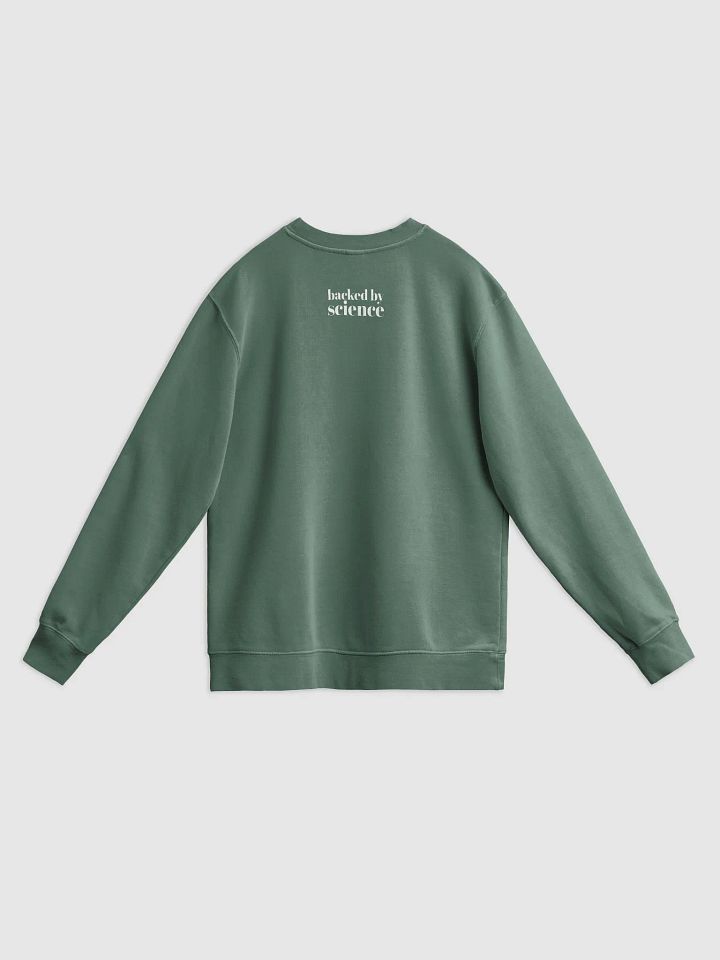 evidence based girly (sweatshirt) product image (14)
