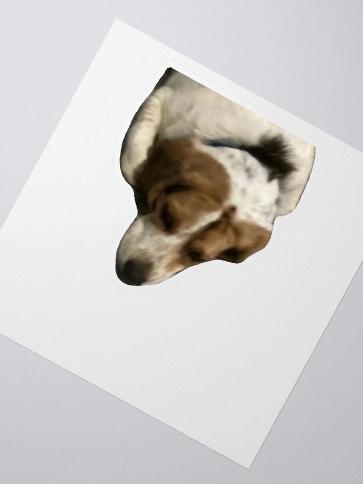 Spot Sticker product image (2)