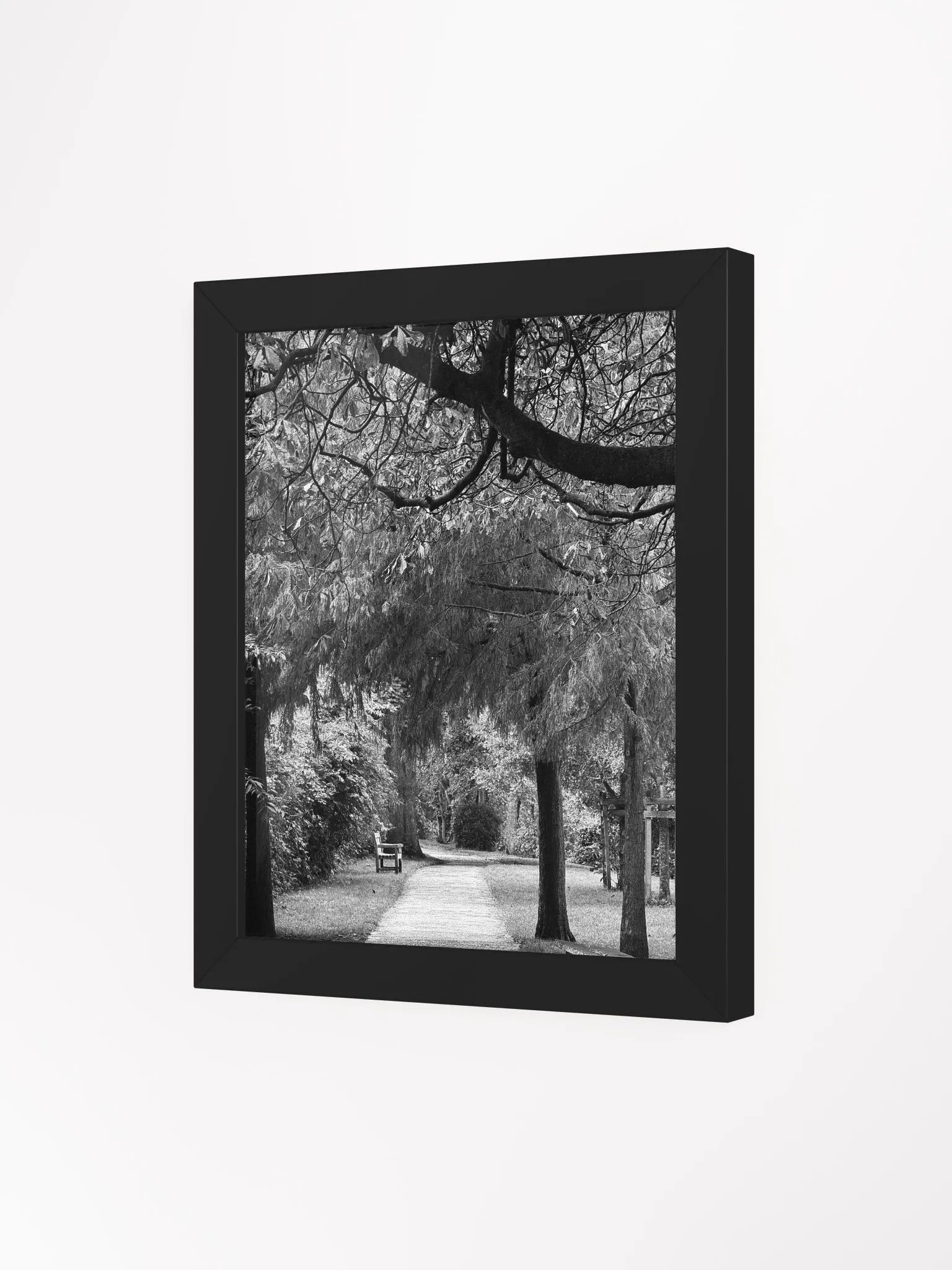 Autumn Walk product image (32)
