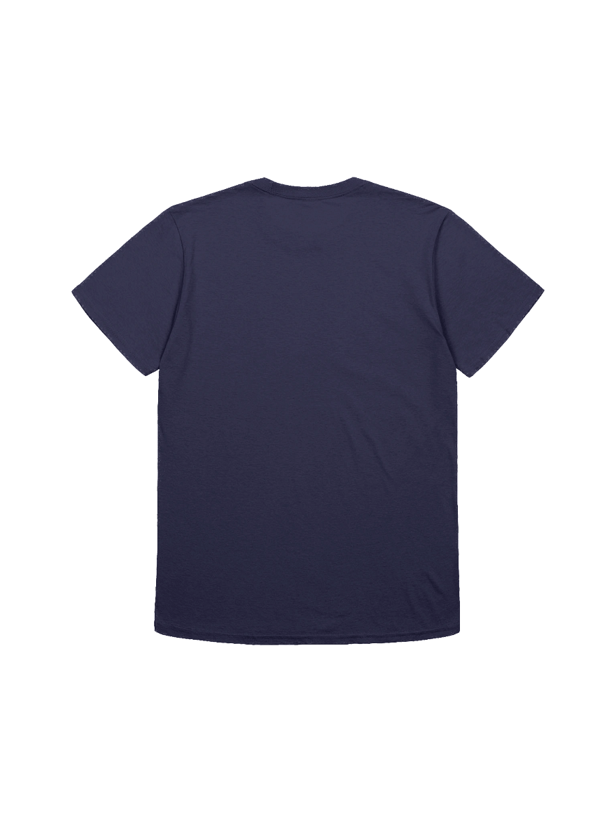 Unity in Diversity Flag Sphere T-Shirt product image (11)