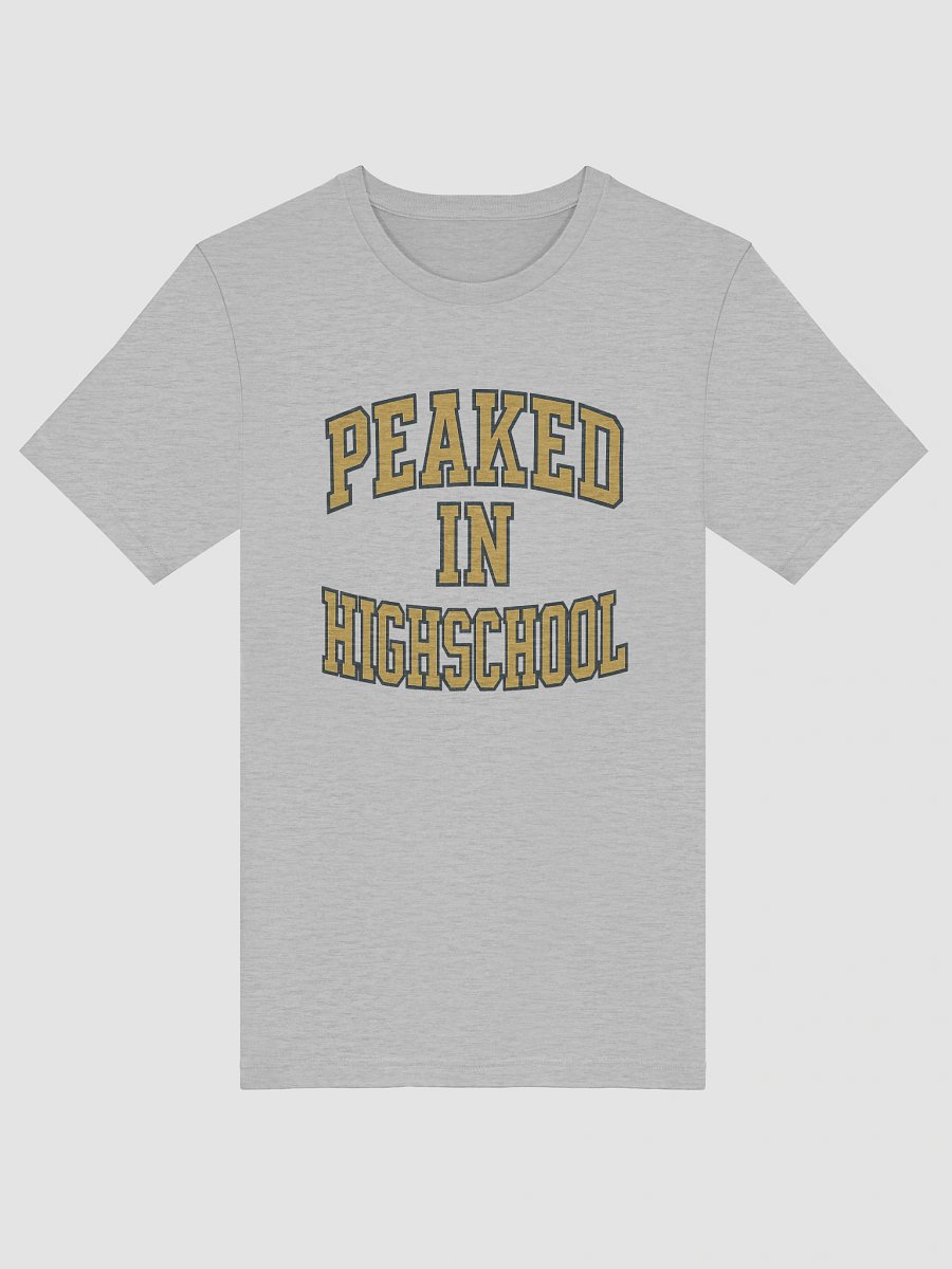 Peaked In Highschool Tee product image (18)