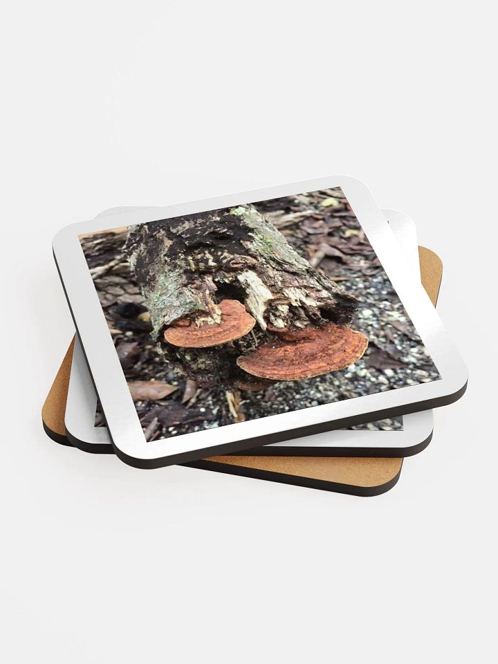 Tree trunk photo coaster product image (2)