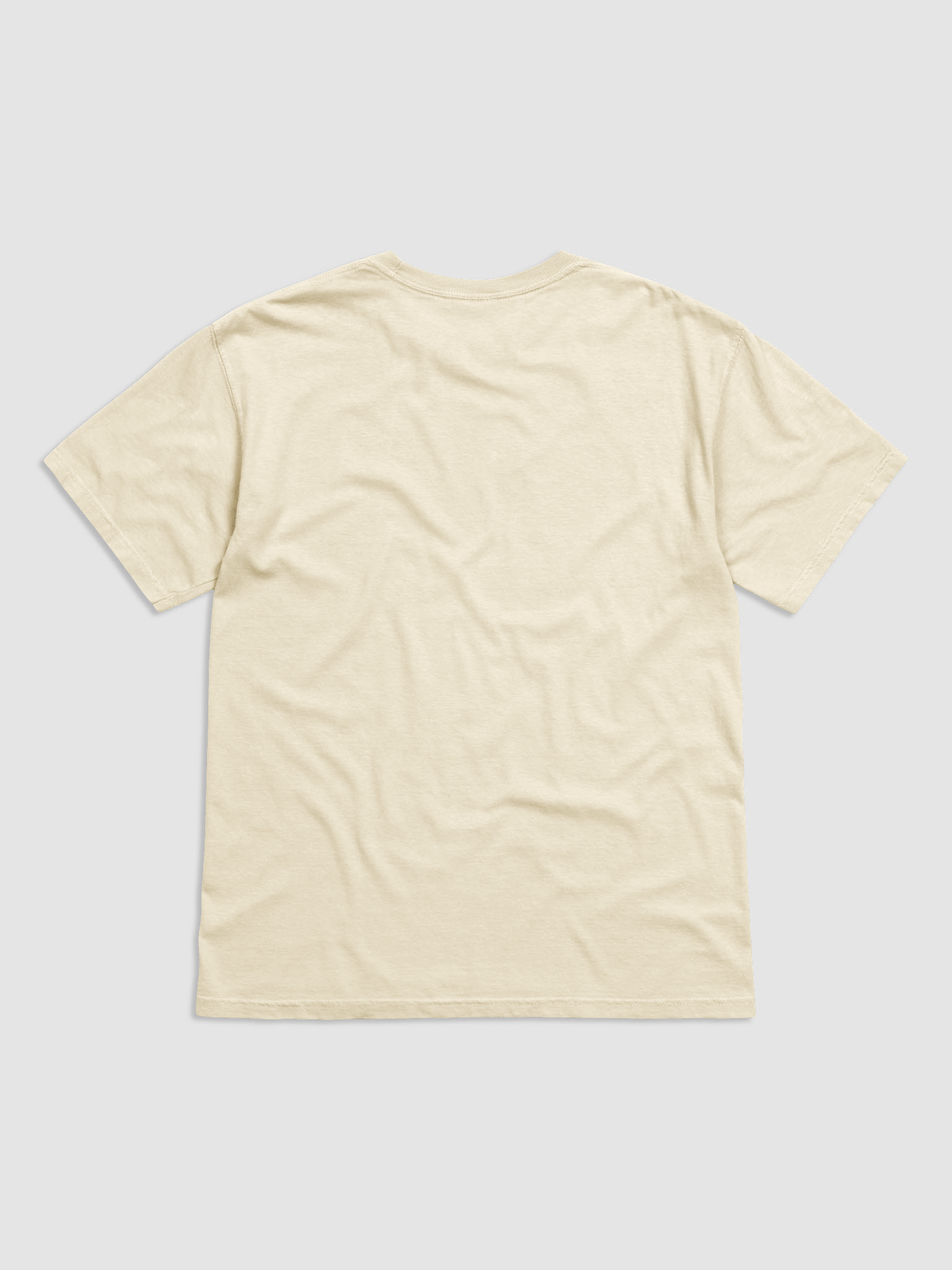 Tori Morii Texas Tee product image (2)