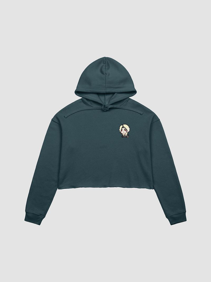 Small Chest Cropped Hoodie