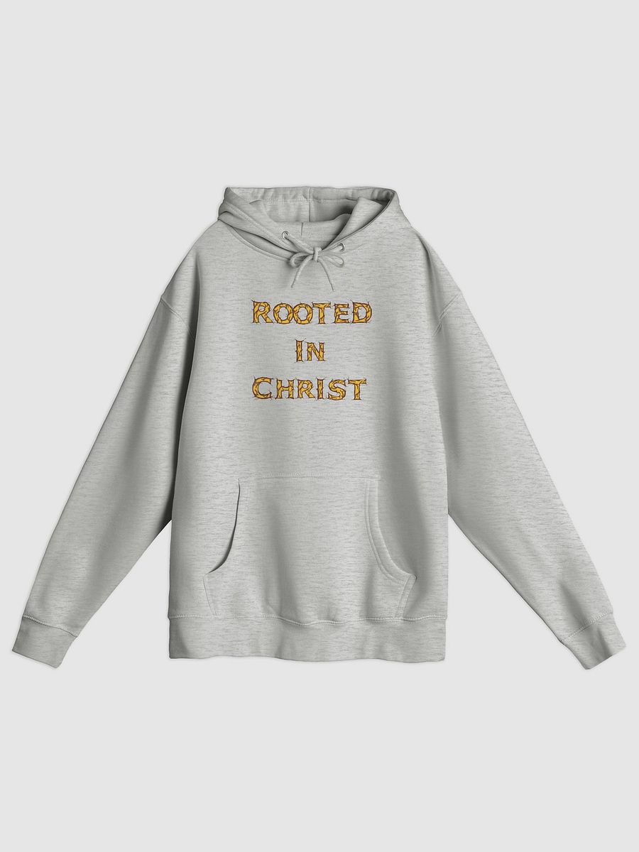 Rooted in Christ Premium Hoodie product image (7)