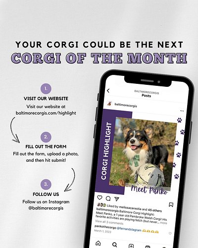 On the first of every month, we introduce a Baltimore corgi with some fun facts. If you’d like your corgi to be corgi of mont...