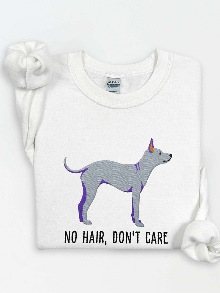No Hair, Don't Care Sweatshirt (Embroidered) of an American Hairless Terrier(Blue) product image (1)