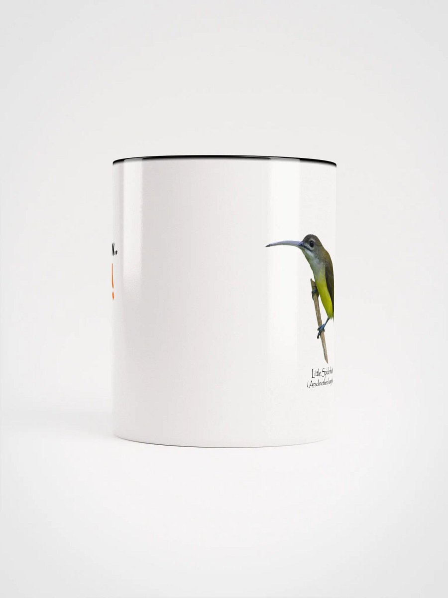 Little Spiderhunter mug product image (47)