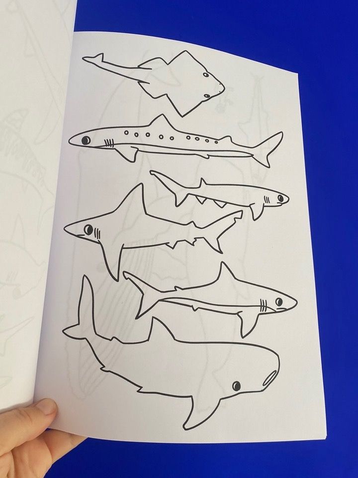 Coloriage des requins product image (4)