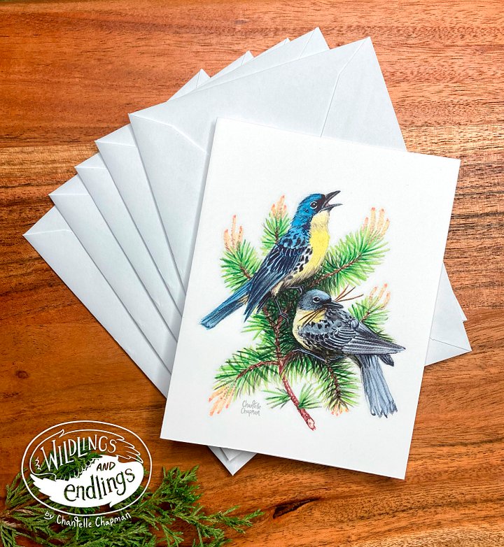 Kirtland's Warbler - Jack Pine Bird - Set of 5 A2 Notecards with Envelopes product image (2)