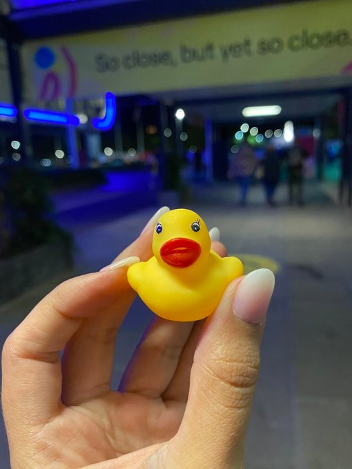 [EXCLUSIVE] Chipstarr Duck product image (1)