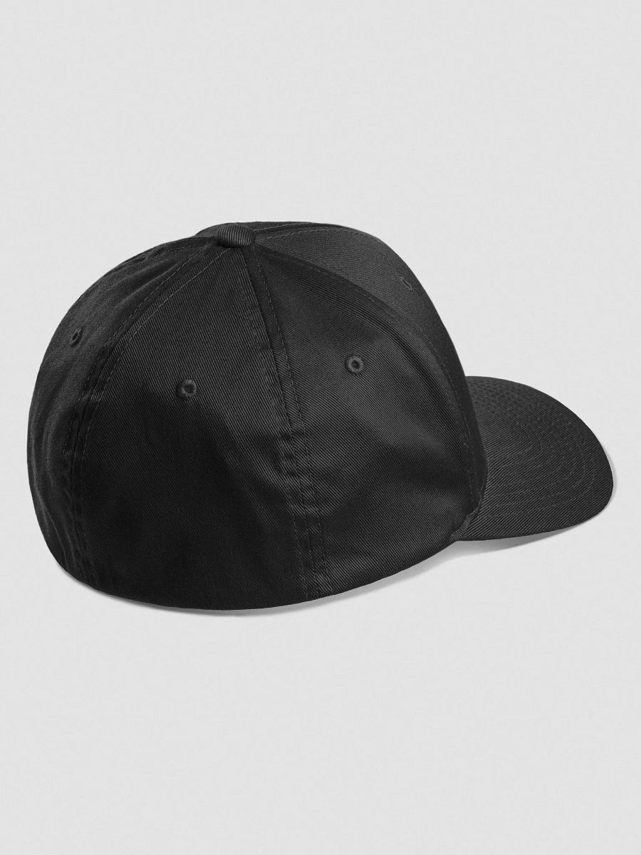 Barbnation embroidered hat product image (25)