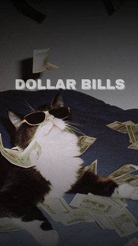 DOLLAR BILLS 💴

STAY WILD, STAY FAM
JOIN THE CAT SPIRIT COMMUNITY
JOIN THE FAM - @kidsfamm 

KIDSFAM PREMIUM WEARS - 🔗LINK IN...
