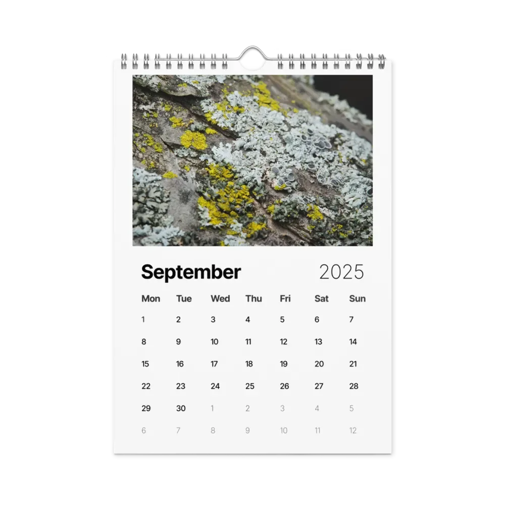 Likin' Lichen 2025 Wall Calendar product image (10)