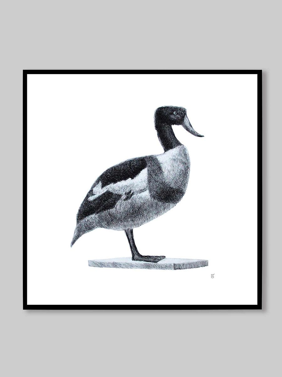 Blank Canvas: Unleash Your Artistic Vision - Duck product image (9)