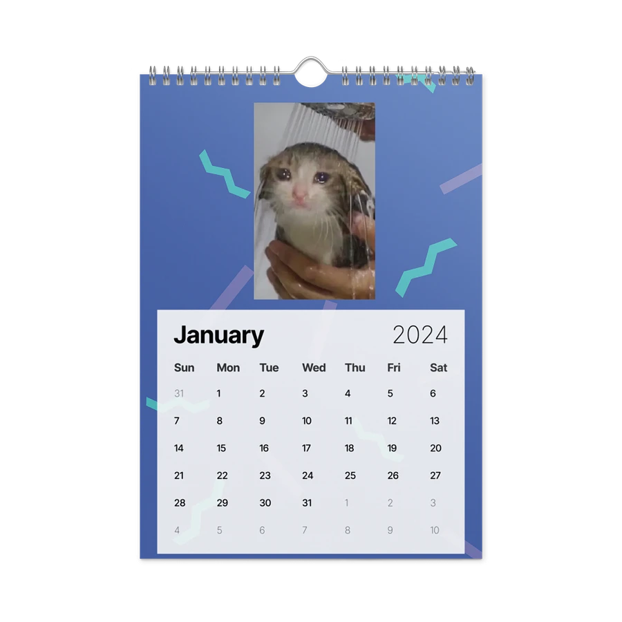 Wall Calendar (2024): Meme Cats product image (8)