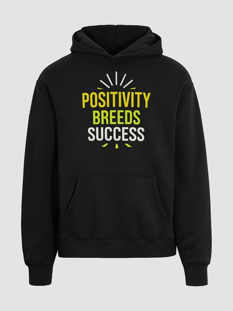 Unlock Your Inner Light with Paul Rudd’s Inspiring Hoodie:  Positivity Breeds Success — Wear the Mindset That Can Change Your Life product image (3)
