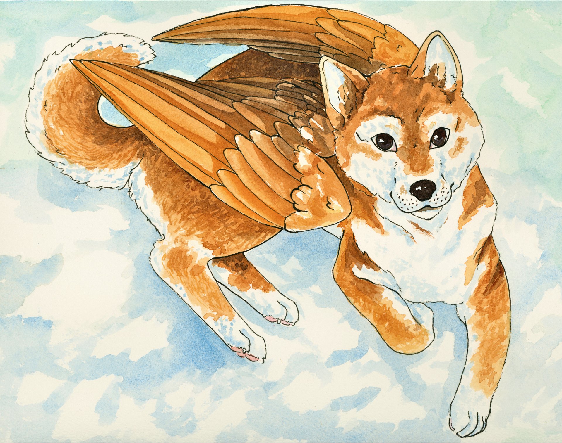 Shiba Inu Clouds 8.5x11 Print product image (1)