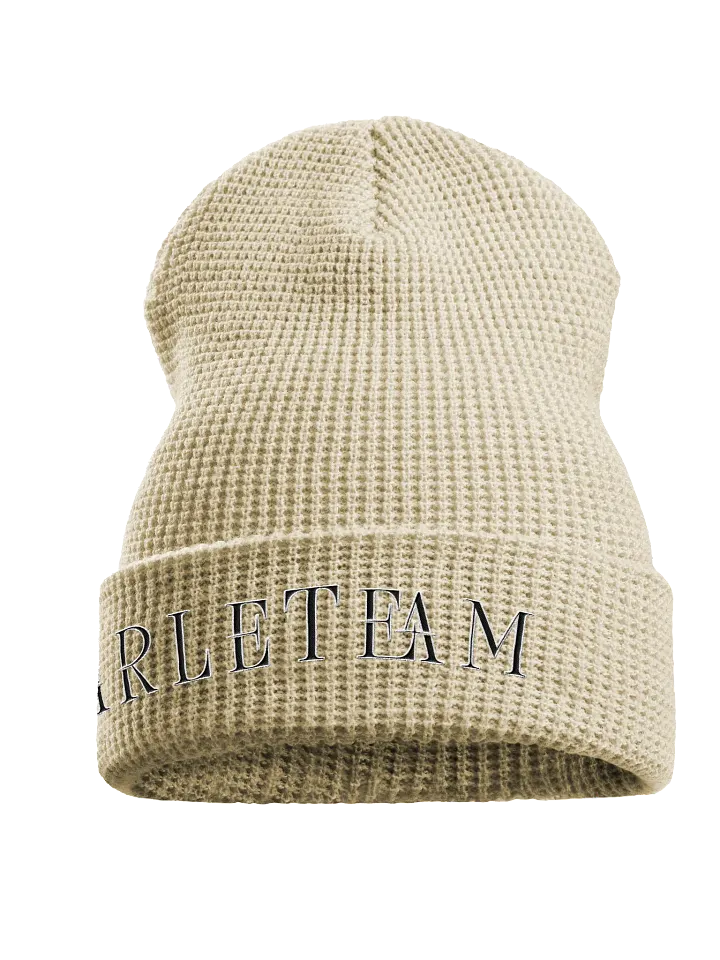 Arle Beanie product image (1)