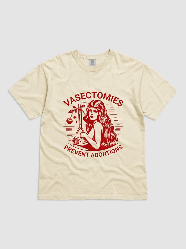 Vasectomies Prevent Abortions T-SHIRT product image (1)