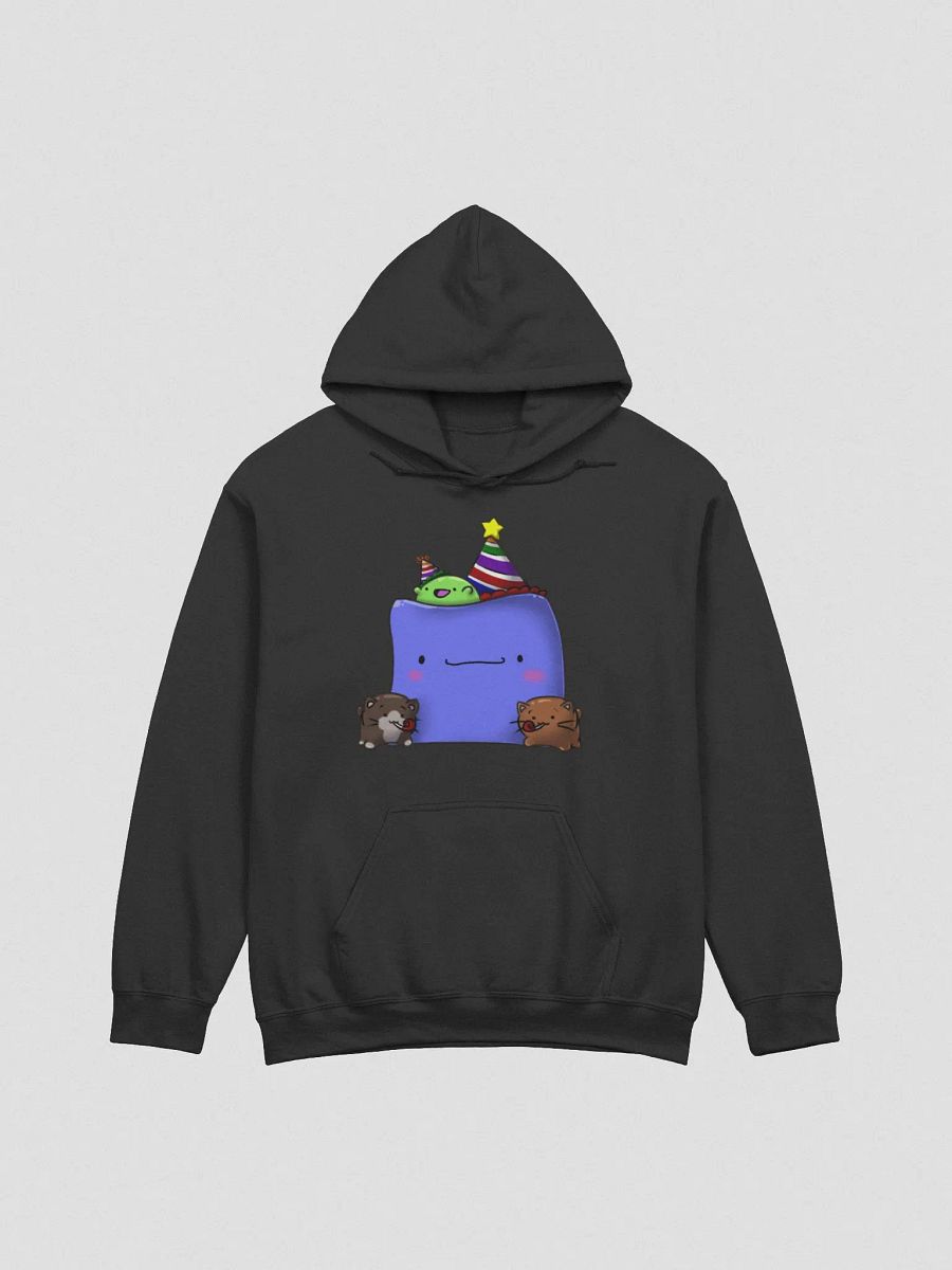 Bigsquish Birthday Hoodie! product image (6)