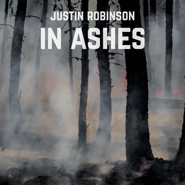 In Ashes product image (1)