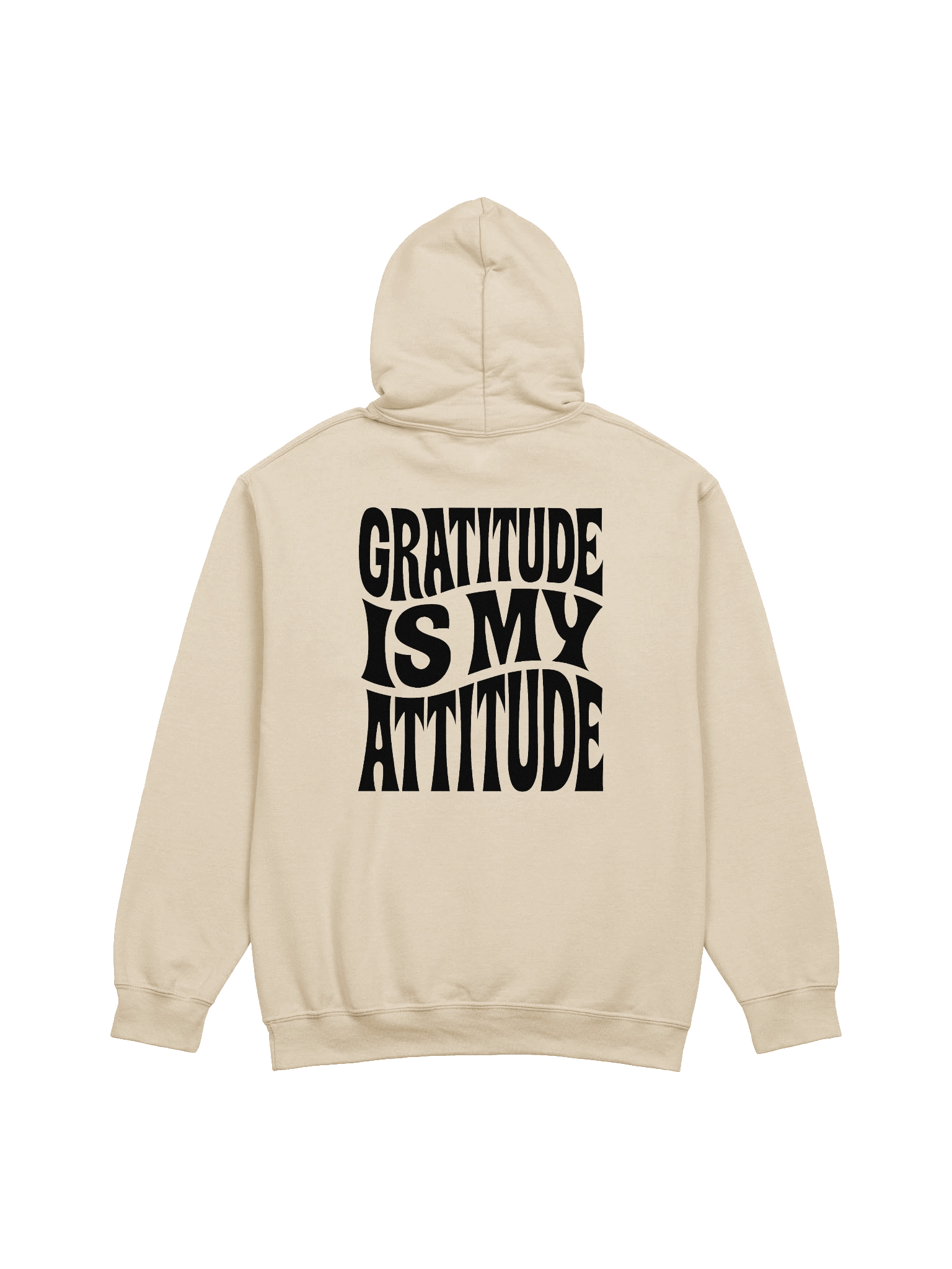 Gratitude Is My Attitude Hoodie product image (1)