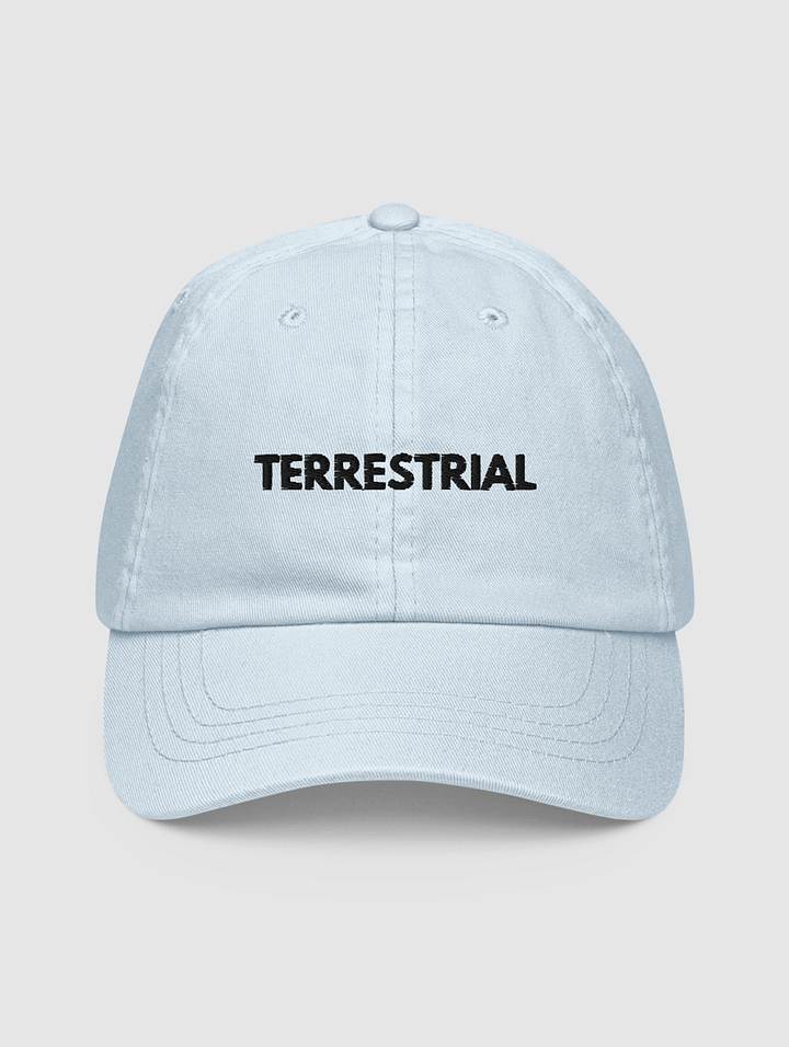 Classic Logo Pastel Hat product image (1)