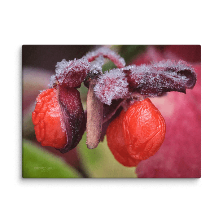Frosted Fruit - Print On Canvas product image (2)