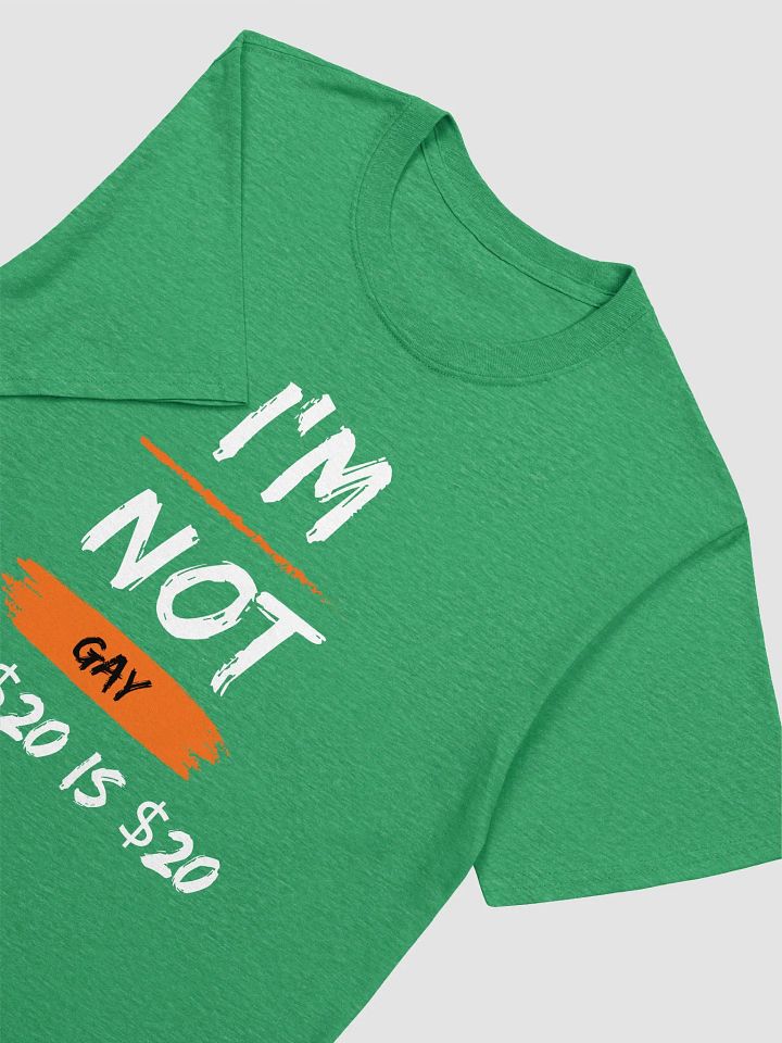 I'm Not Gay But $20 is $20 Unisex T-Shirt V20 product image (5)