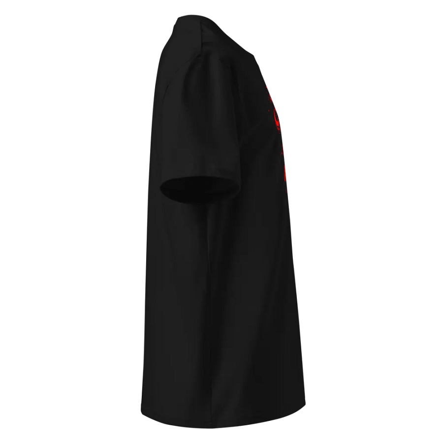 Aries 2025, Daring, Black Tee product image (3)