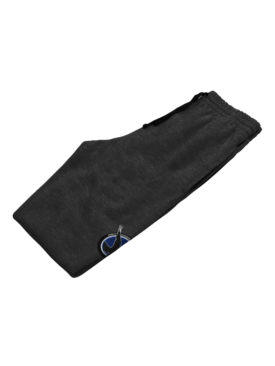 NIGHT RAVEN JOGGERS product image (2)