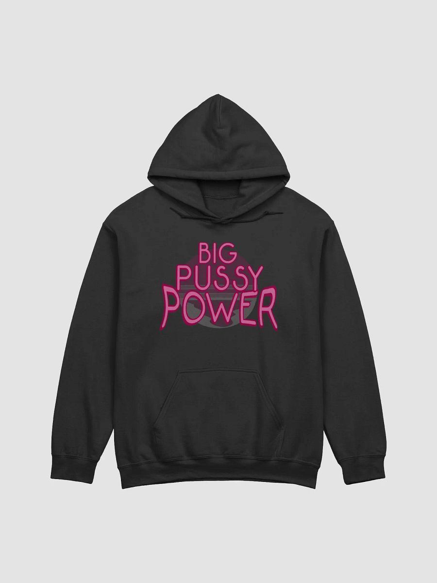 BPP Hoodie product image (1)