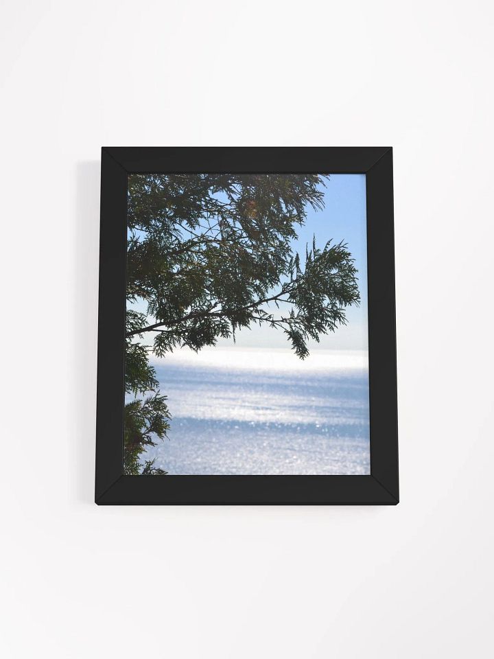 Pine and Water High Quality Matte Poster product image (1)