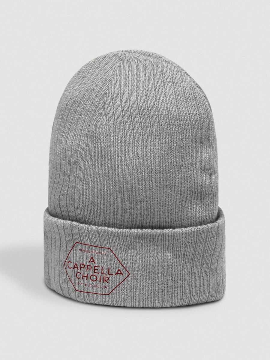 Hamline Acappella Hat 24-25 product image (2)