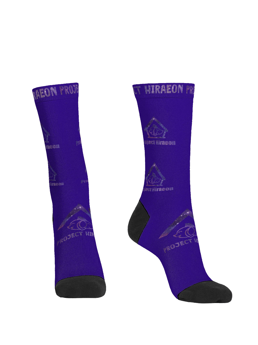 PROJECT HIRAEON SOCKS product image (2)