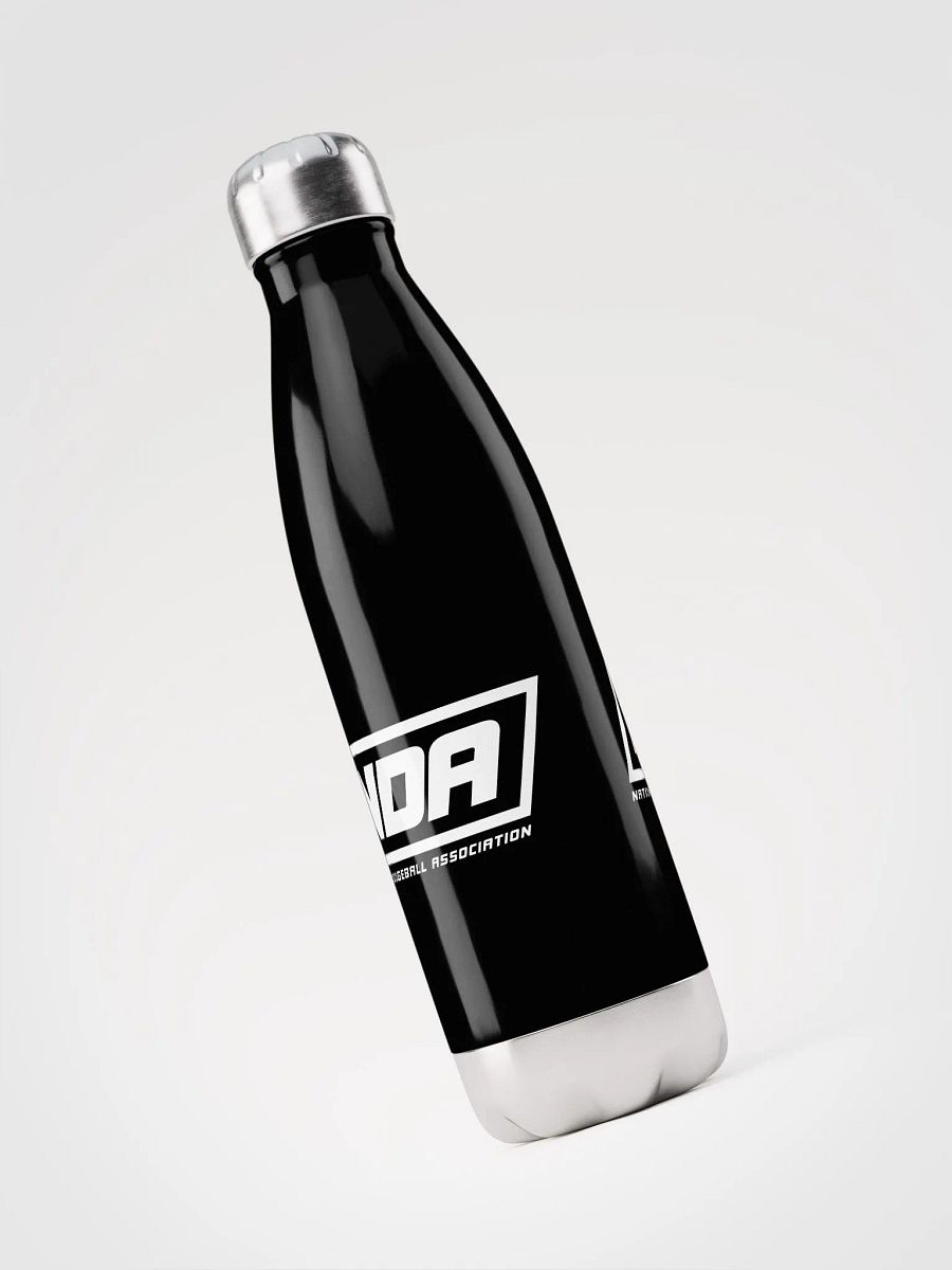 National Dodgeball Association Stainless Steel Water Bottle product image (1)
