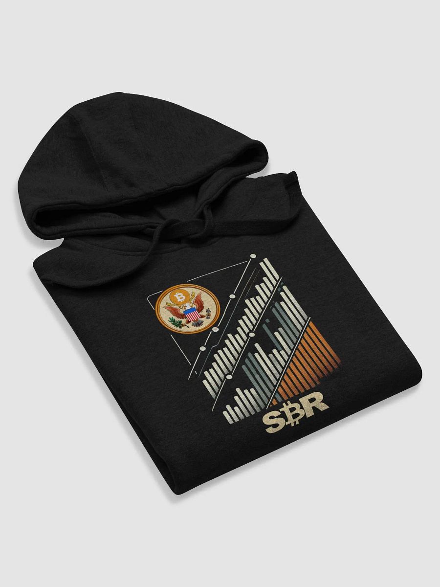Chart Hoodie product image (19)