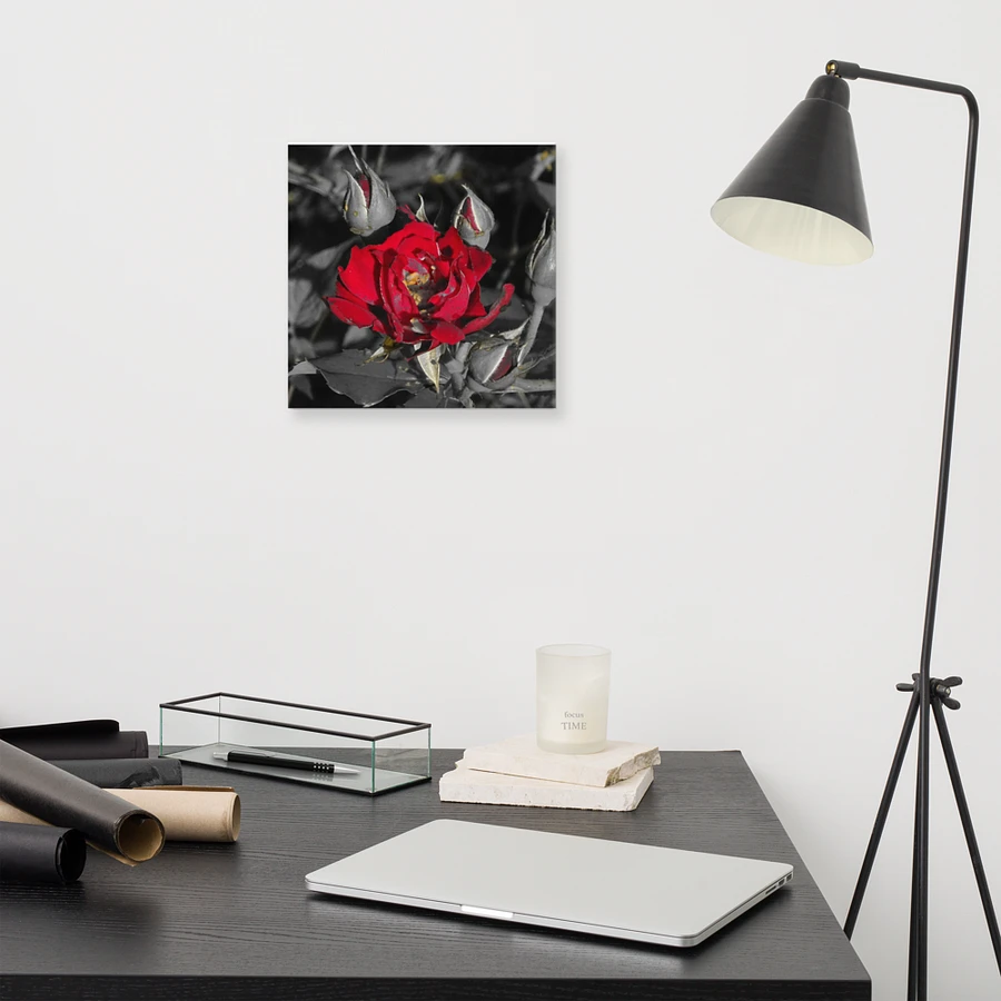 Rose on Canvas product image (11)