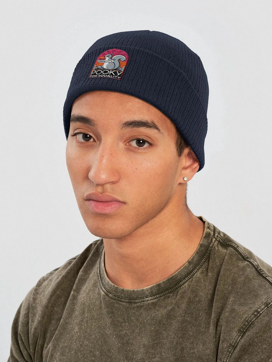 Organic Cotton Embroidered Beanie: Pooky for Equality product image (3)