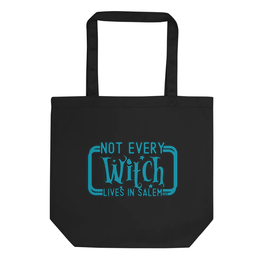 NOT EVERY WITCH LIVES IN SALEM product image (1)