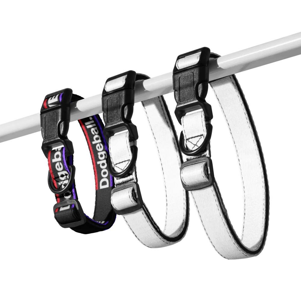 Dodgeball.LIVE Dog Collar product image (7)
