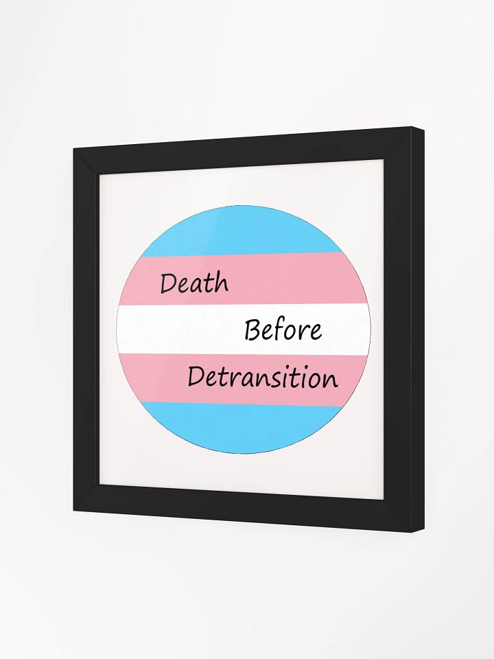 Death Before Detransition Poster product image (8)