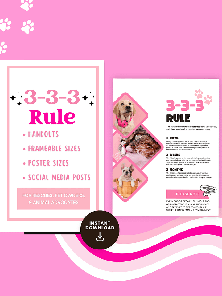 3-3-3 RULE FLYER & POSTS product image (1)