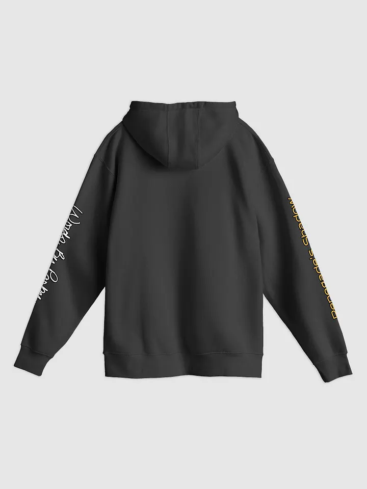 Raven's Landing Hoodie with Sleeve Art product image (2)
