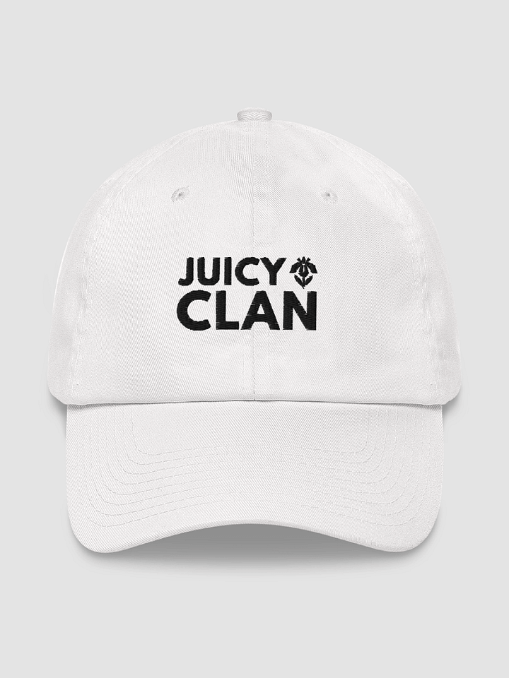 Embroidered Dad Hat - JUICY CLAN product image (1)