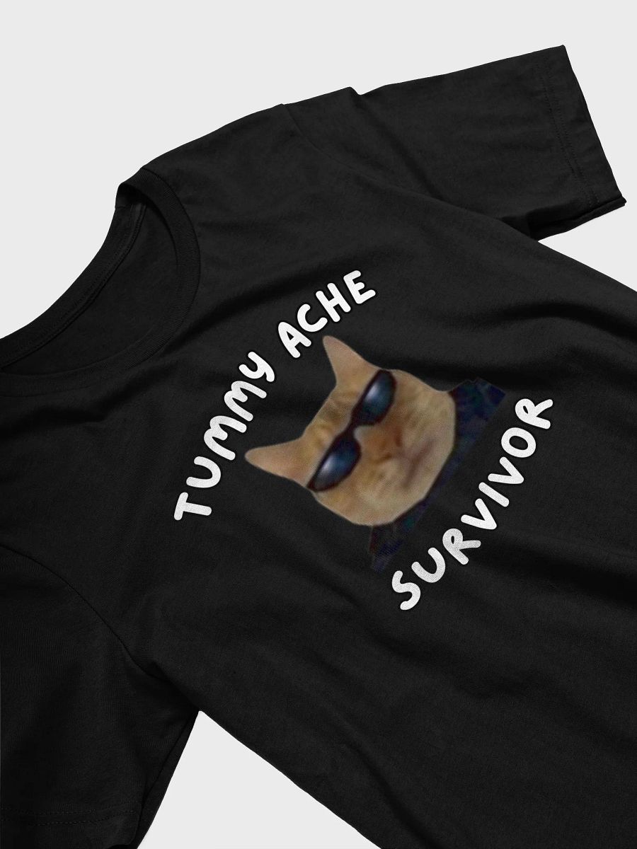 Tummy Ache Survivor T-Shirt product image (25)