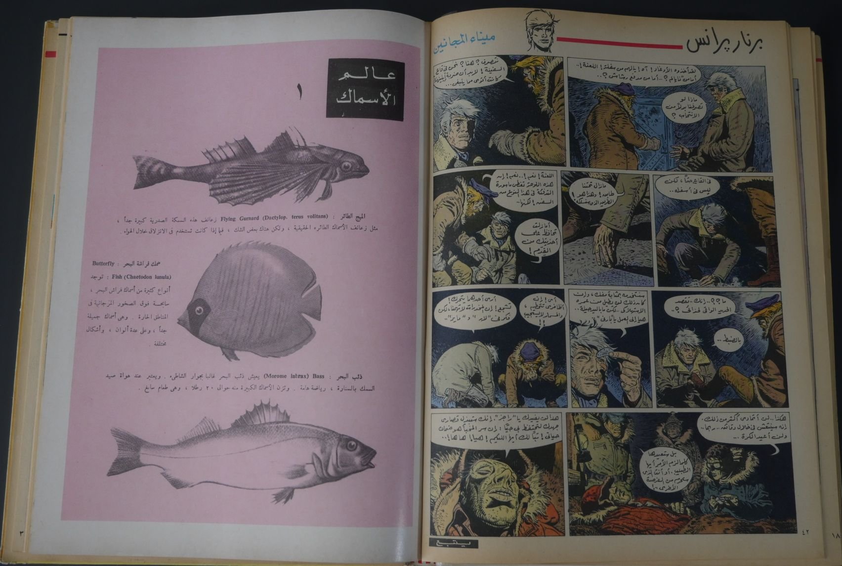 مجلد مجلة تان تان عام 1977 (المجلد الحادي والستون) product image (9)